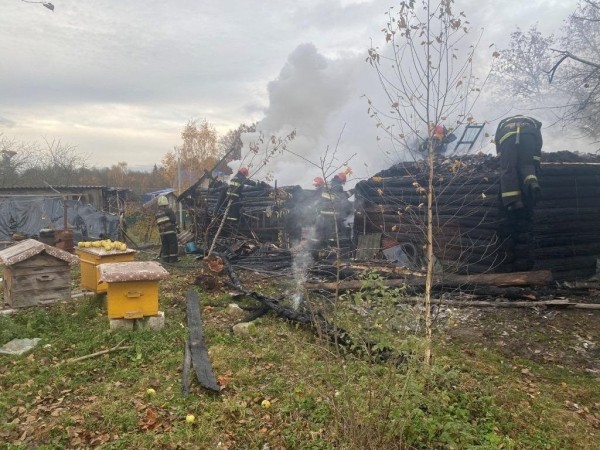 Белорус нашел экстравагантный способ борьбы с осиными гнездами на участке. Все закончилось плохо