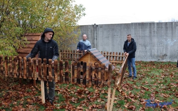 В Барановичах установили первые домики для бездомных котов В Барановичах установили первые домики для бездомных котов