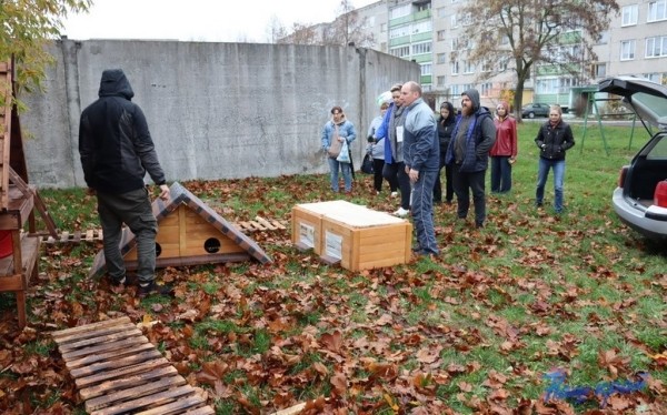 В Барановичах установили первые домики для бездомных котов В Барановичах установили первые домики для бездомных котов