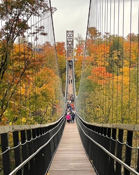 Открылся самый длинный в мире подвесной мост, сделанный в основном из дерева Открылся самый длинный в мире подвесной мост, сделанный в основном из дерева