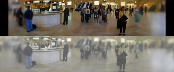 Так видят коты Так видят коты