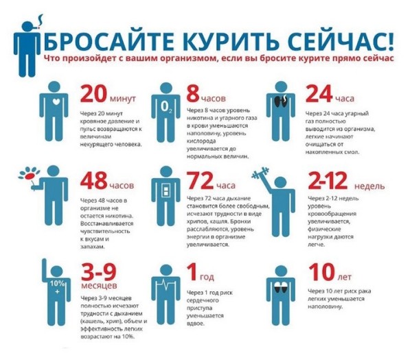 Вредны ли вейпы и электронные сигареты для здоровья? Как отказаться от перекуров или хотя бы сократить их количество? Вредны ли вейпы и электронные сигареты для здоровья? Как отказаться от перекуров или хотя бы сократить их количество?