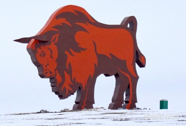 Красиво! Посмотрите, как выглядит зубр у трассы М1 после реставрации Красиво! Посмотрите, как выглядит зубр у трассы М1 после реставрации