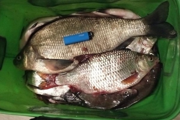 «Два часа шел 300 метров». История рыбака, которому снег отрезал дорогу домой «Два часа шел 300 метров». История рыбака, которому снег отрезал дорогу домой