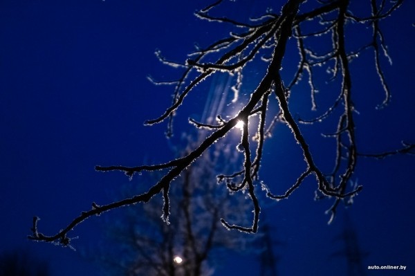 Водитель маршрутки из Вильнюса оставил двух пассажирок по ту сторону границы, пока те отмечали Tax Free. И все по правилам?