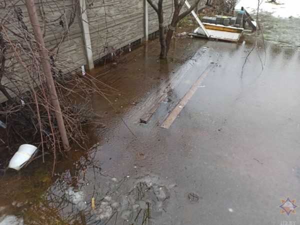 Подтопления более 100 дачных участков в Бресте Подтопления более 100 дачных участков в Бресте