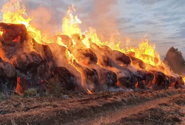 Пожар уничтожил 30 тонн сена в Столинском районе