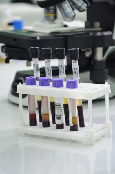 «ГОД СЕМЬИ» в ЛОДЭ. Обследования всей семьей в медцентре стали еще более доступными