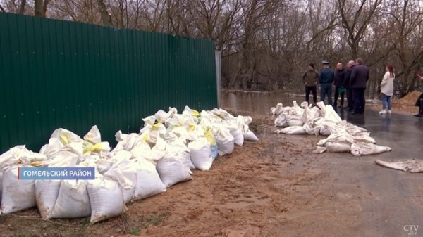 Семья из Гомеля теперь живёт на острове. Как белорусы справляются с крупнейшими паводками?