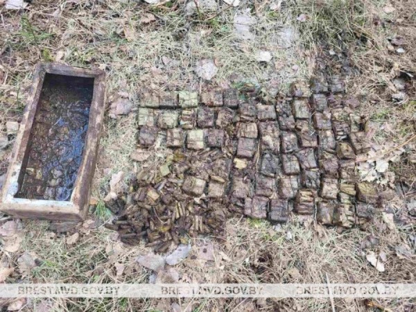 Опасная находка. Крупную партию боеприпасов нашли в Брестской области