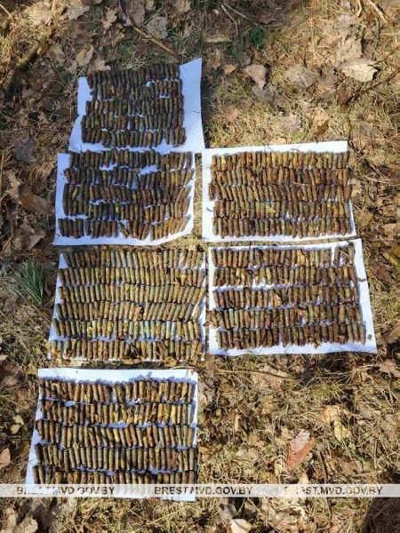 Опасная находка. Крупную партию боеприпасов нашли в Брестской области