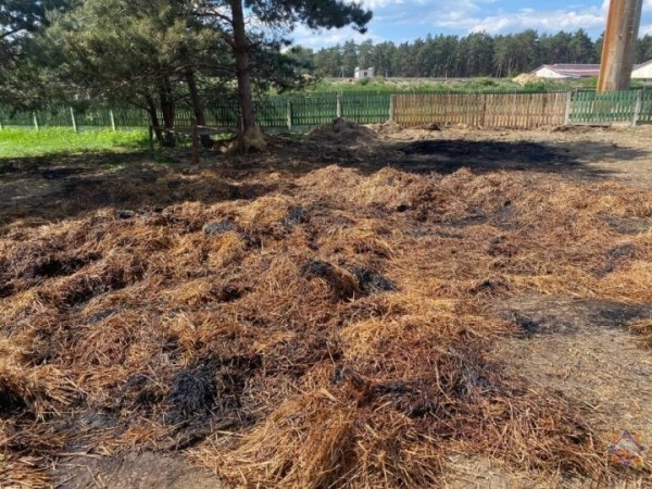 В Ивацевичском районе огнем уничтожено 2,4 тонны соломы В Ивацевичском районе огнем уничтожено 2,4 тонны соломы