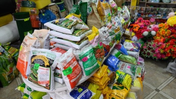 Жители райцентра рассказали, во сколько им обходятся дачи и приусадебные участки