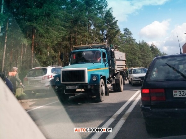 Из-под границы в Привалке увезли десятки велосипедов, пристегнутых к деревьям и столбам Из-под границы в Привалке увезли десятки велосипедов, пристегнутых к деревьям и столбам