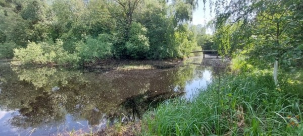 В Брестской области утонули два человека В Брестской области утонули два человека