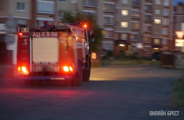 На пожаре в одном из агрогородков Брестской области погибли хозяйка дома и ее сын