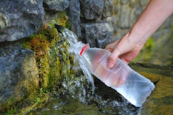 Из какого родника в Каменецком районе можно набрать воды? Из какого родника в Каменецком районе можно набрать воды?