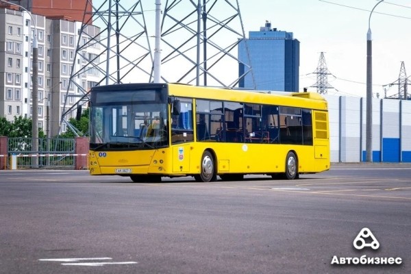 «Главное – не расслабиться и не уехать в закат». Воспитатель садика стала водителем автобуса