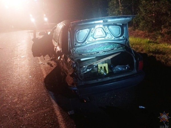 Легковушка сбила лося в Ивановском районе. Пострадали два человека