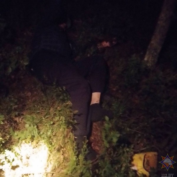 В Кобринском районе спасатели нашли потерявшегося в лесу пенсионера