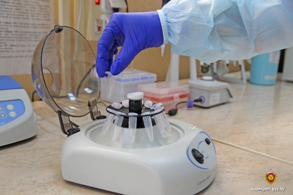 Многодетный отец оспаривал родство троих детей из пяти Многодетный отец оспаривал родство троих детей из пяти