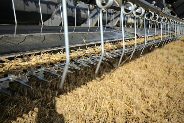 Водитель самого крутого комбайна в Беларуси: «За 1 000 рублей в поле точно бы не работал!» Водитель самого крутого комбайна в Беларуси: «За 1 000 рублей в поле точно бы не работал!»