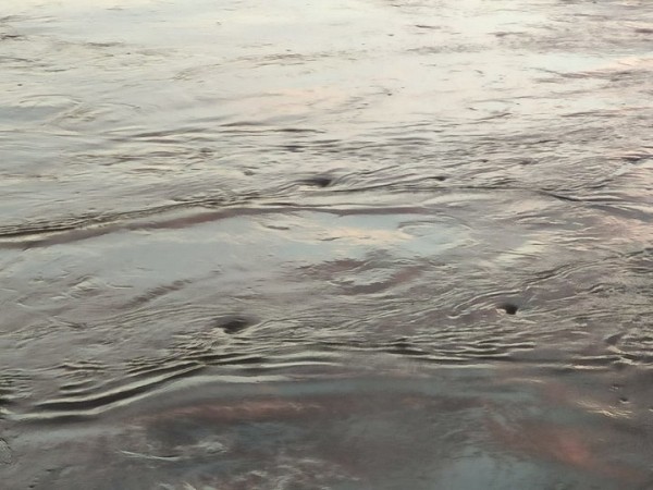 В Бресте женщина упала с моста в воду. Чем все закончилось?