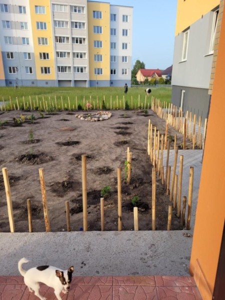 «Дом образцового порядка» — как семья в Кобрине своими силами украшает территорию многоквартирного дома «Дом образцового порядка» — как семья в Кобрине своими силами украшает территорию многоквартирного дома