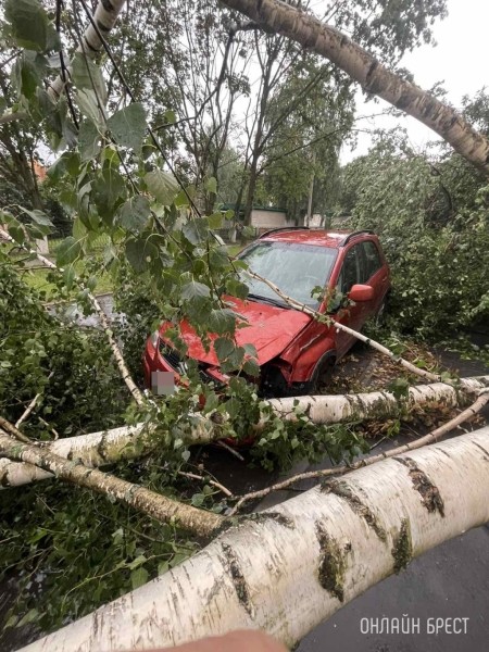 Ураганный ветер, бушевавший в Пинске, наворотил дел Ураганный ветер, бушевавший в Пинске, наворотил дел
