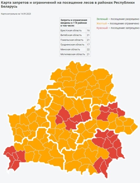 В Брестском районе введен запрет на посещение лесов