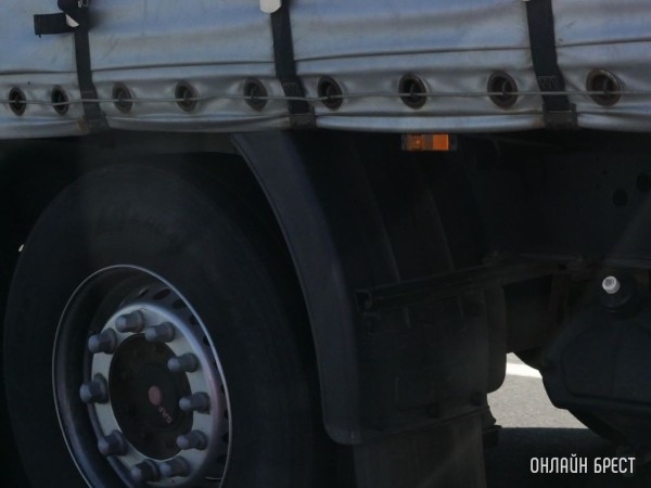 Дальнобойщика с поддельным разрешением на перевозку грузов остановили под Жабинкой, возбуждено дело Дальнобойщика с поддельным разрешением на перевозку грузов остановили под Жабинкой, возбуждено дело