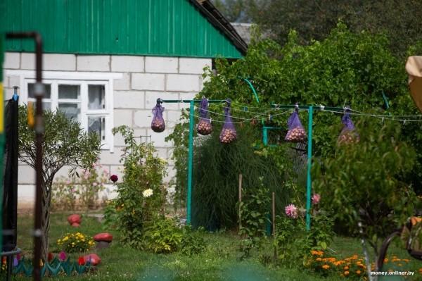 «Сосед-атомщик получил 7000 рублей». Чем живет Островец, который обогнал Минск по средней зарплате «Сосед-атомщик получил 7000 рублей». Чем живет Островец, который обогнал Минск по средней зарплате