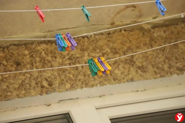 В три года весил 7 кг и спал в углу, как собака. Стали известны подробности о семье, в которой родители убили своего сына в Слуцке