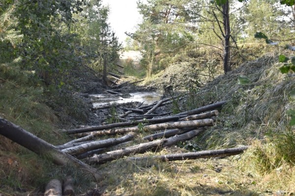 Десантники осуществили подрыв моста через Прилукский канал на полигоне «Брестский»