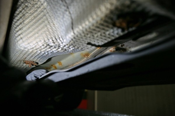 «Год назад был полный облив за $2 500». Белорус о владении 10-летней Skoda Octavia «Год назад был полный облив за $2 500». Белорус о владении 10-летней Skoda Octavia