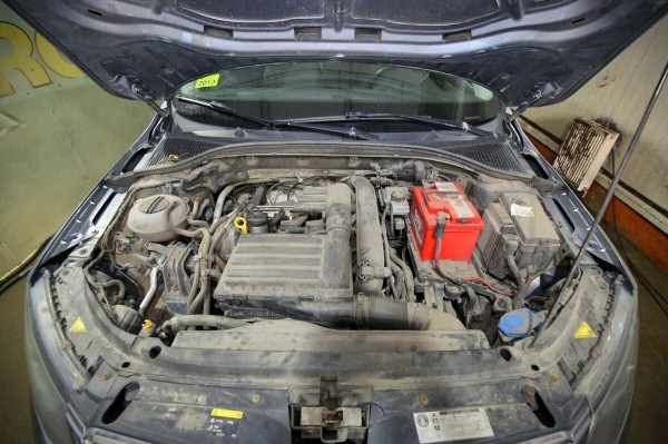 «Год назад был полный облив за $2 500». Белорус о владении 10-летней Skoda Octavia «Год назад был полный облив за $2 500». Белорус о владении 10-летней Skoda Octavia