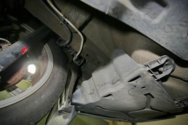 «Год назад был полный облив за $2 500». Белорус о владении 10-летней Skoda Octavia «Год назад был полный облив за $2 500». Белорус о владении 10-летней Skoda Octavia