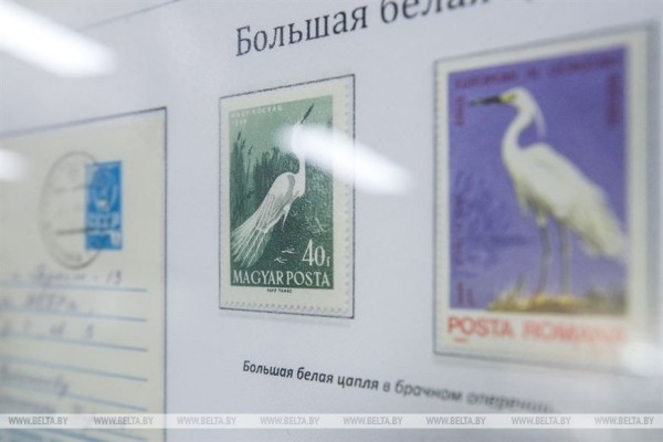 Коллекции из семи стран представлены в Бресте на филателистической выставке для детей и молодежи