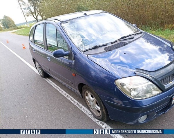 Пешеход шагнул навстречу автомашине и погиб в Могилевском районе