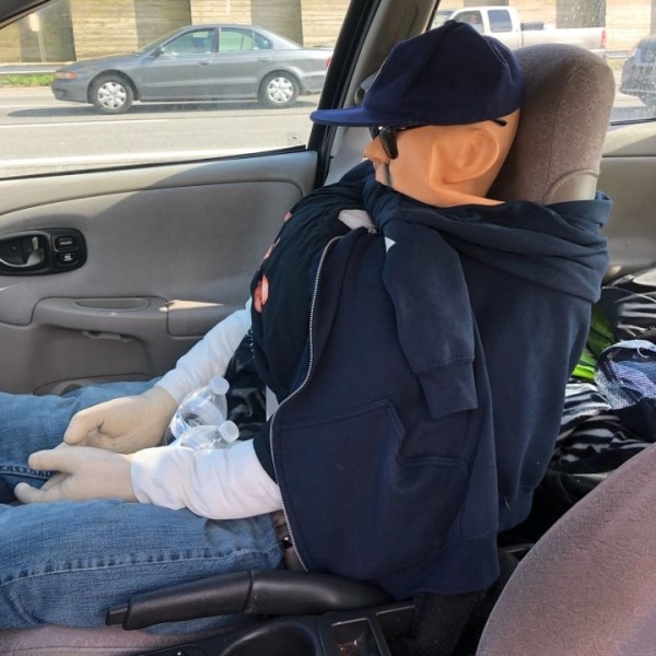 На дорогах ЕС появился странный знак. Что означает и какое наказание ждет нарушителей?