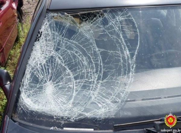 Водителя, сбившего велосипедиста, вычислили по осколкам фар и лобовика авто Водителя, сбившего велосипедиста, вычислили по осколкам фар и лобовика авто