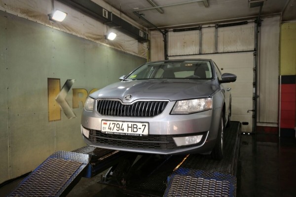 «Год назад был полный облив за $2 500». Белорус о владении 10-летней Skoda Octavia «Год назад был полный облив за $2 500». Белорус о владении 10-летней Skoda Octavia