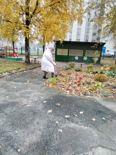 Какими работами по благоустройству заняты работники и воспитанники учреждений образования Ленинского района г. Бреста?