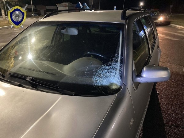 В Мозыре водитель сбил на переходе мать с ребенком В Мозыре водитель сбил на переходе мать с ребенком