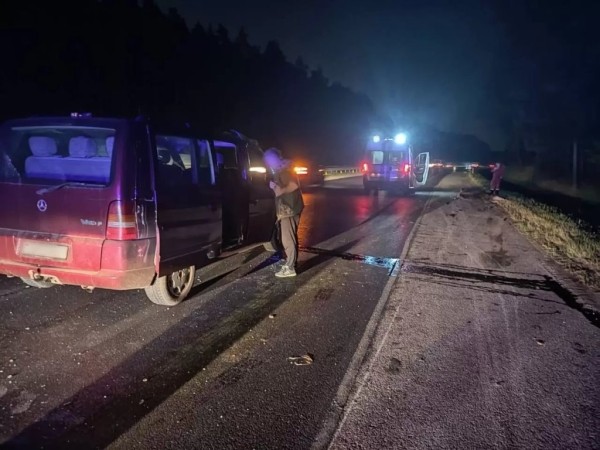 В Минском районе «Мерс» сбил лося. Пассажир в больнице
