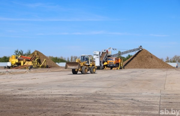 В Брестской области накопано 370 тысяч тонн сахарной свеклы