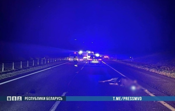 Жуткое ДТП на М1: наезд на дикое животное - погибли водитель и ребенок Жуткое ДТП на М1: наезд на дикое животное - погибли водитель и ребенок