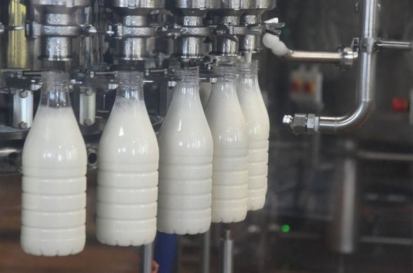 Молочное дело: задержан директор «Бабушкиной крынки» и еще 25 человек Молочное дело: задержан директор «Бабушкиной крынки» и еще 25 человек