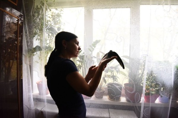 Подарок с неба. Как гомельчанка спасла и выходила птенца стрижа