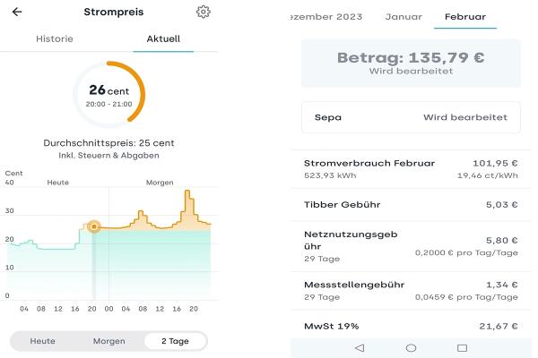 Жители Европы рассказали, во сколько обходится владение электромобилем